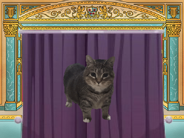 theater spining cat